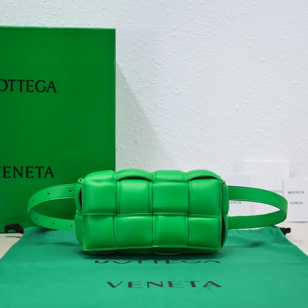 parrot green